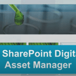 Digital asset manager